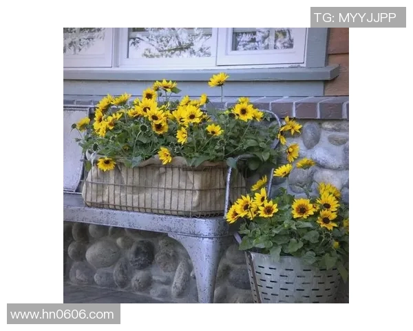 花卉种植的技巧与实践，打造美丽花园的全方位指南