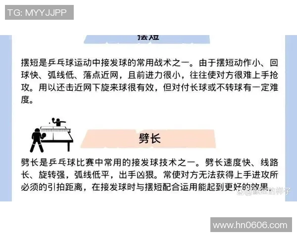 南京乒乓球队的训练节奏与比赛表现的深度分析与探讨